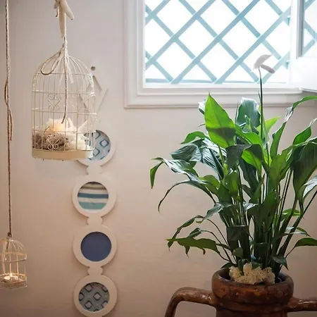 Aphrodite Ξενοδοχείο με διαμερίσματα 4*