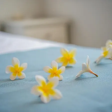 Aphrodite Aparthotel 4*