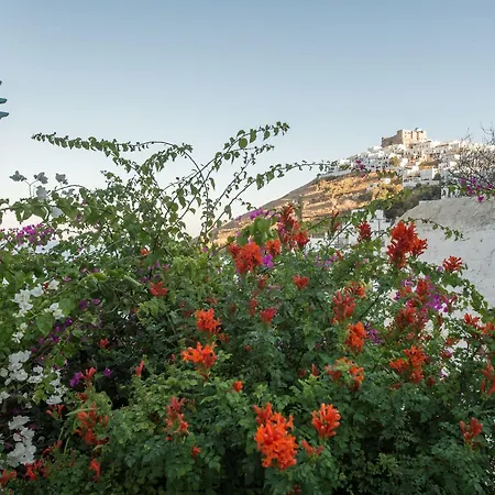 Aphrodite 4* Astypalaia