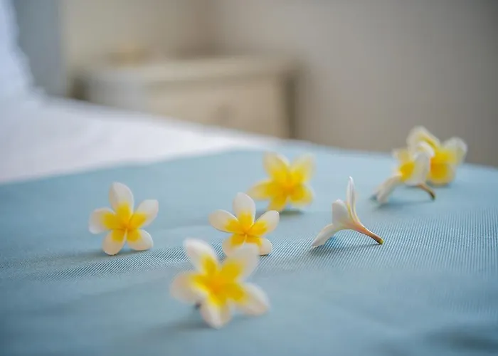 Aphrodite Aparthotel 4*