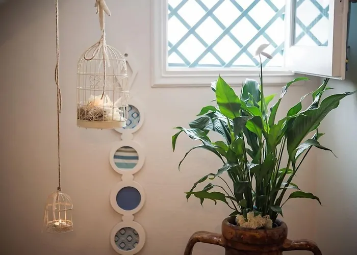 Aphrodite Aparthotel 4*